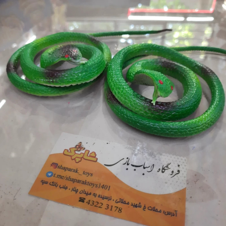 مار ژله ای