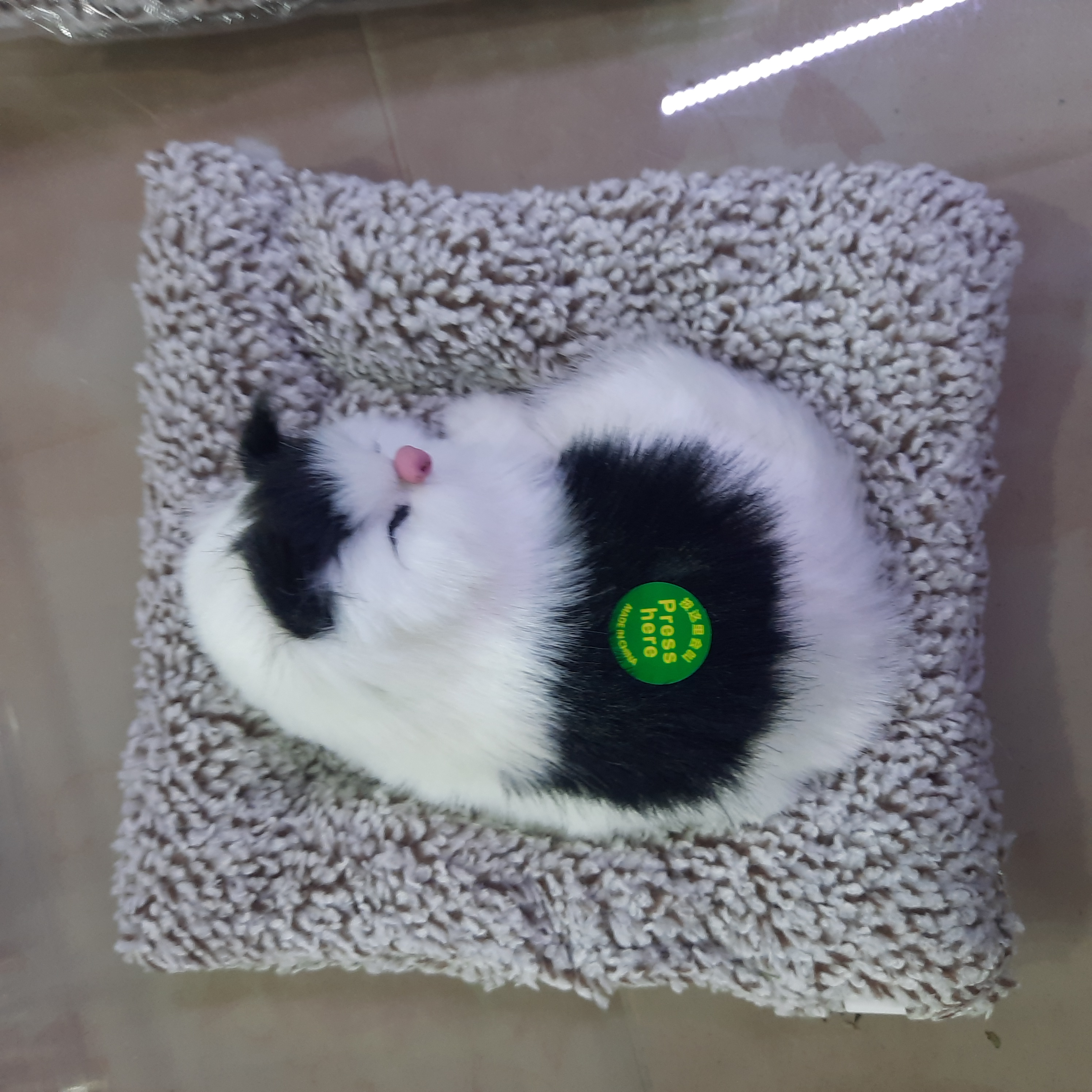 گربه خوابیده  صدادار
